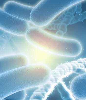 有用微生物の紹介